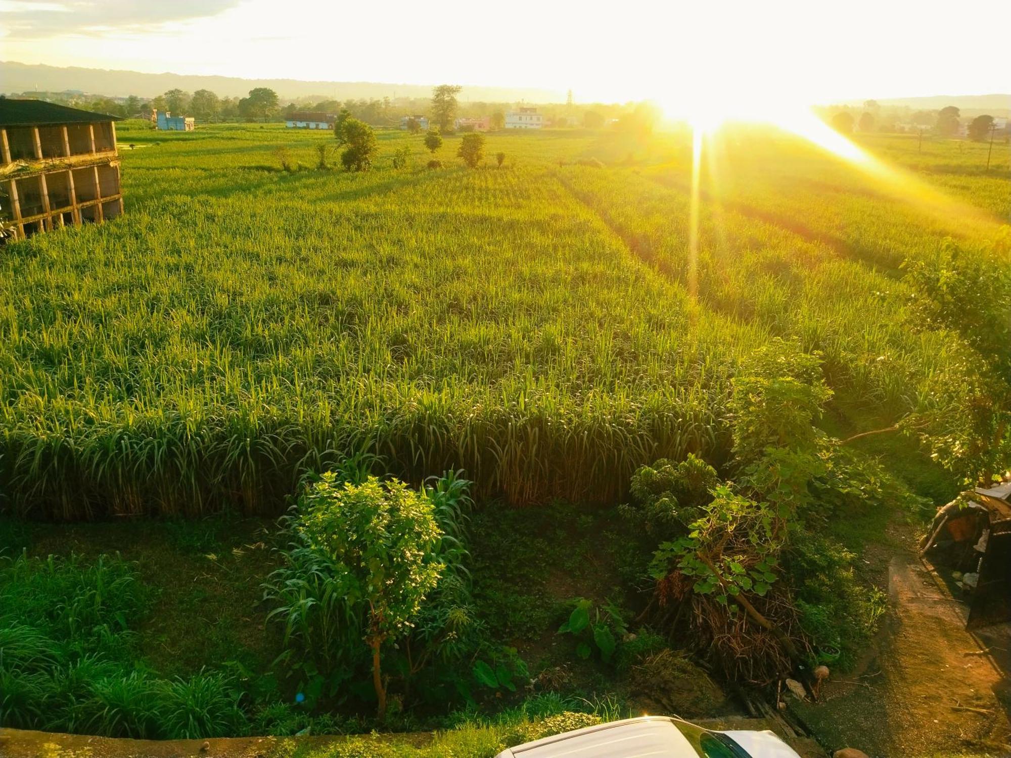Airport Luxury Nature Homestay- Near Jolly Grant Airport Dehradun Doiwala
