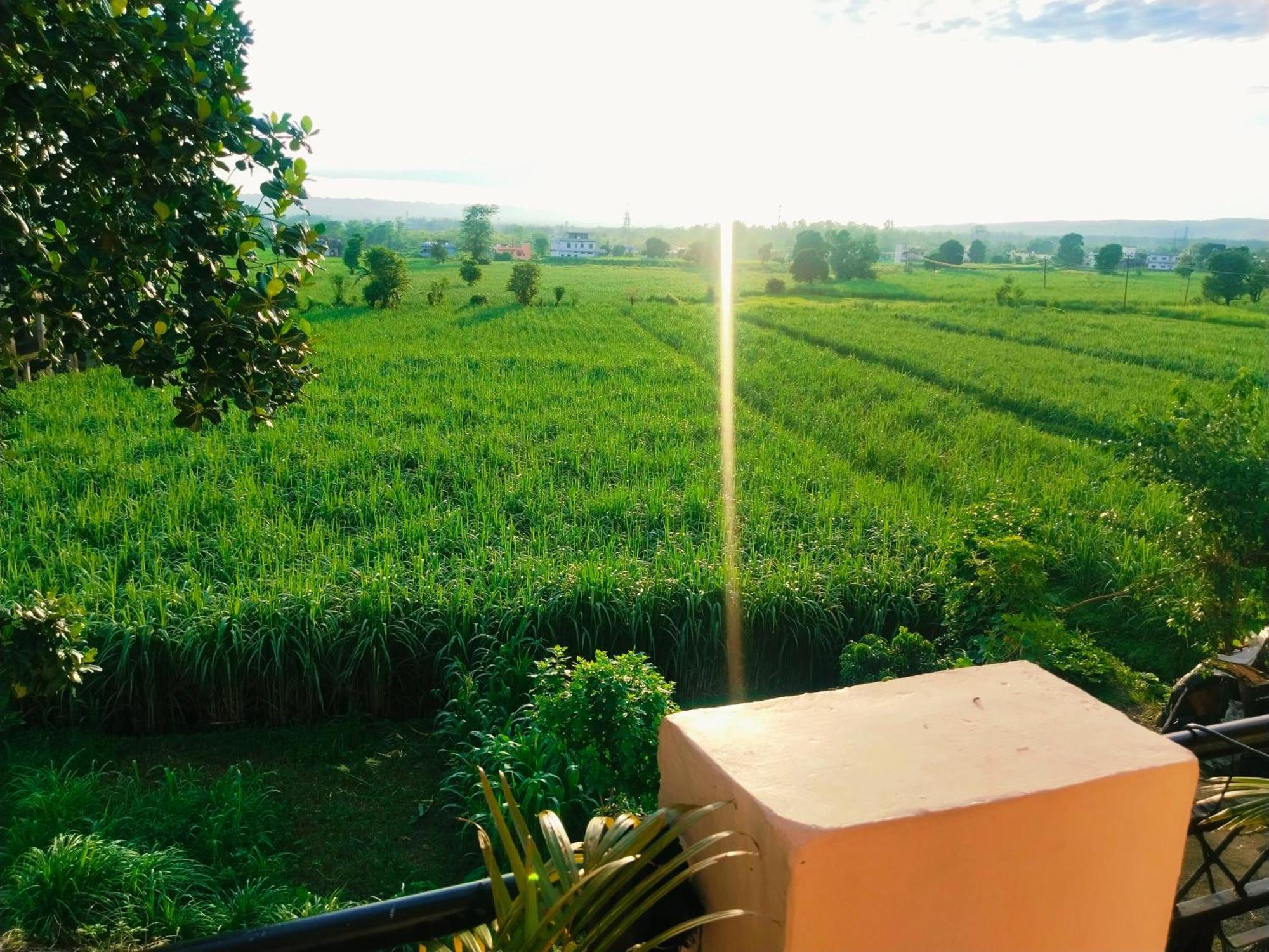 Homestay Airport Luxury Nature Homestay- Near Jolly Grant Airport Dehradun