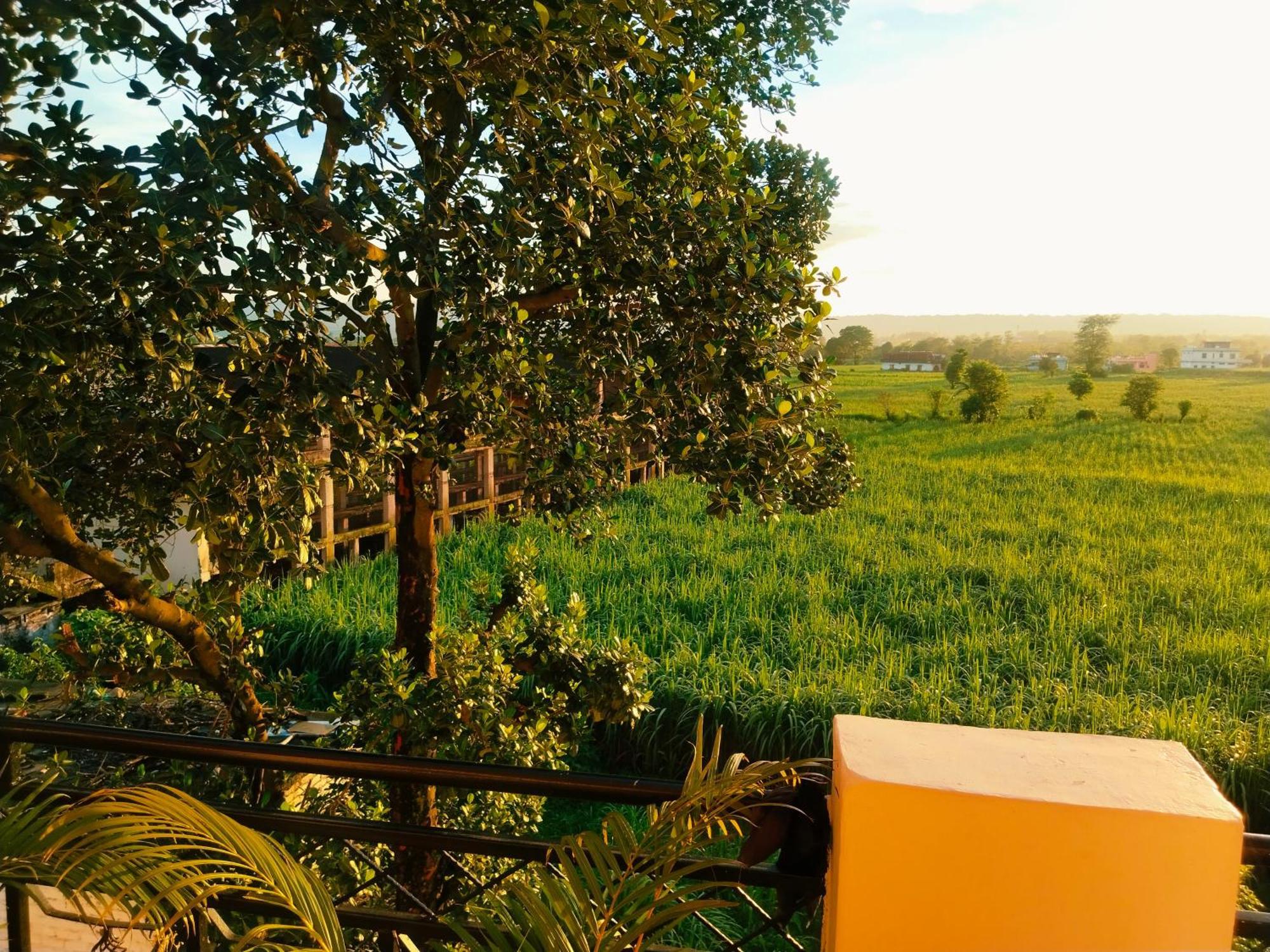Airport Luxury Nature Homestay- Near Jolly Grant Airport Dehradun * Doiwala