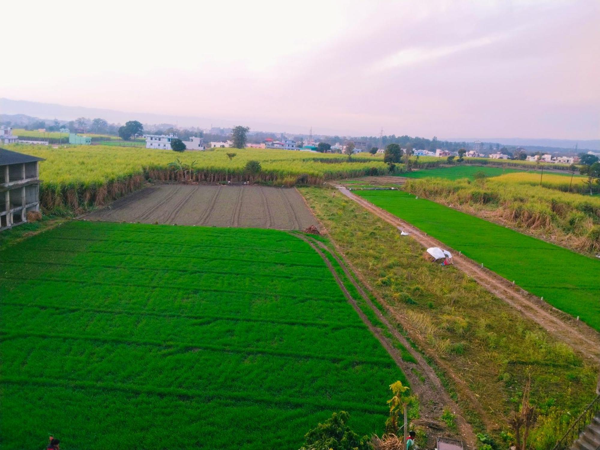 Homestay Airport Luxury Nature Homestay- Near Jolly Grant Airport Dehradun Doiwala