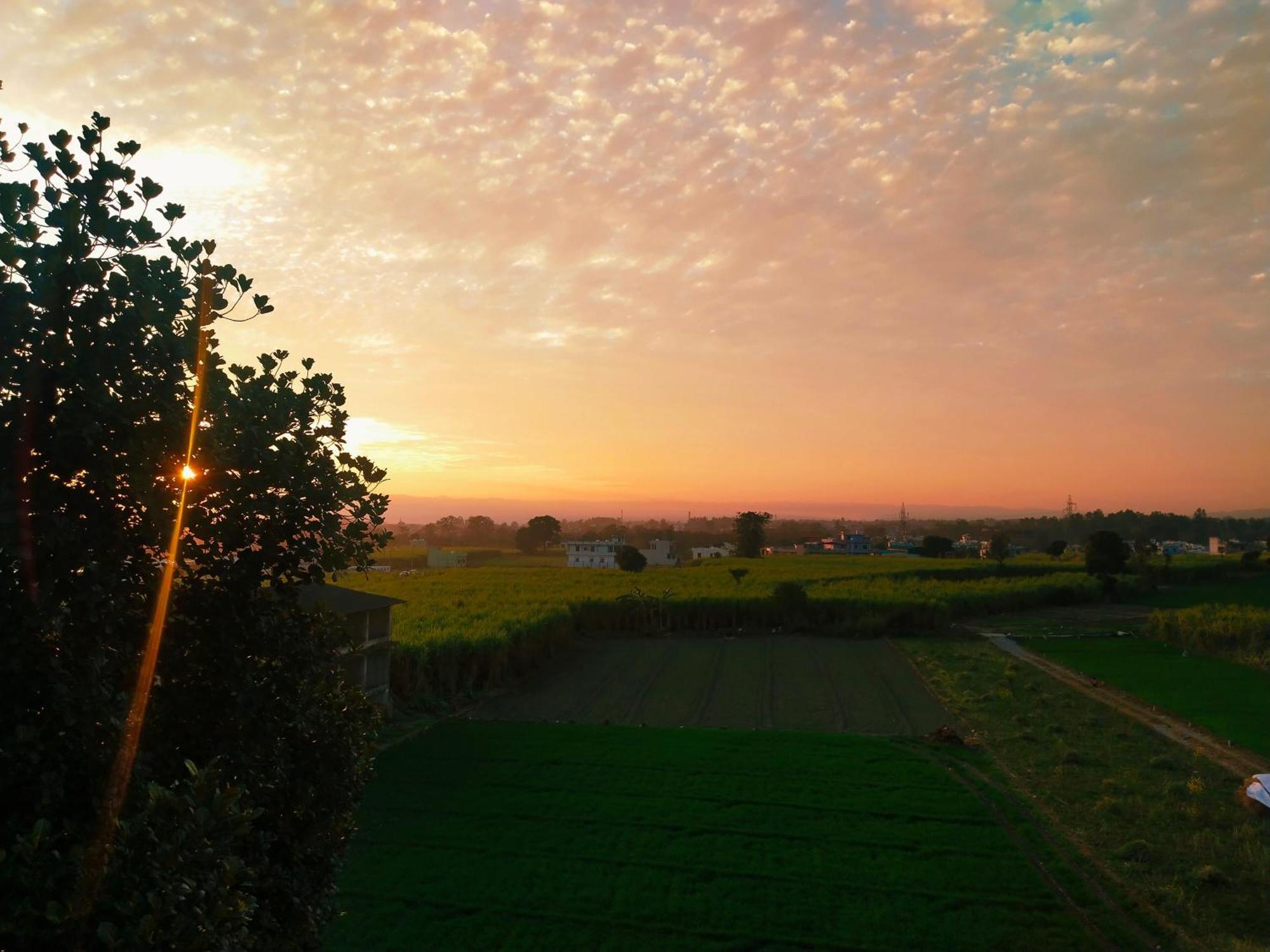 Homestay Airport Luxury Nature Homestay- Near Jolly Grant Airport Dehradun