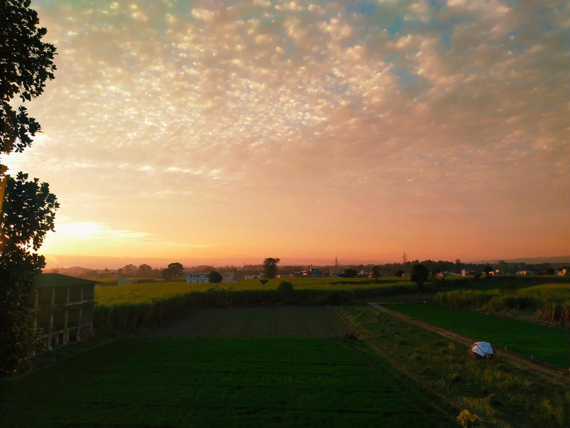 Airport Luxury Nature Homestay- Near Jolly Grant Airport Dehradun Homestay *
