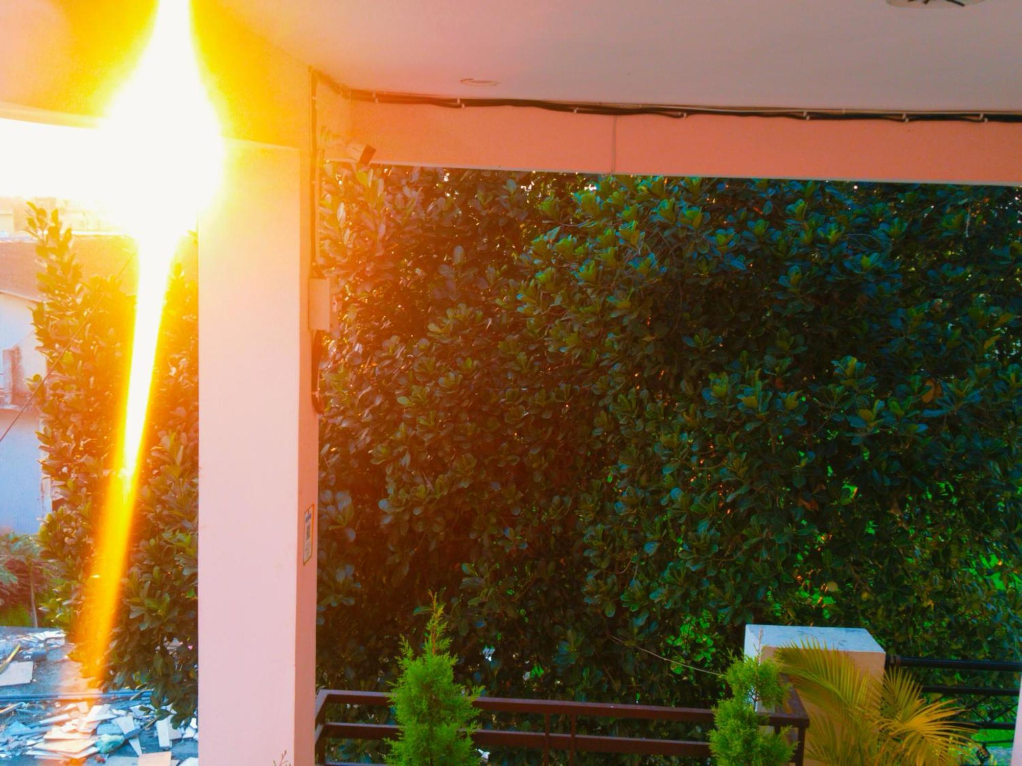 Airport Luxury Nature Homestay- Near Jolly Grant Airport Dehradun *