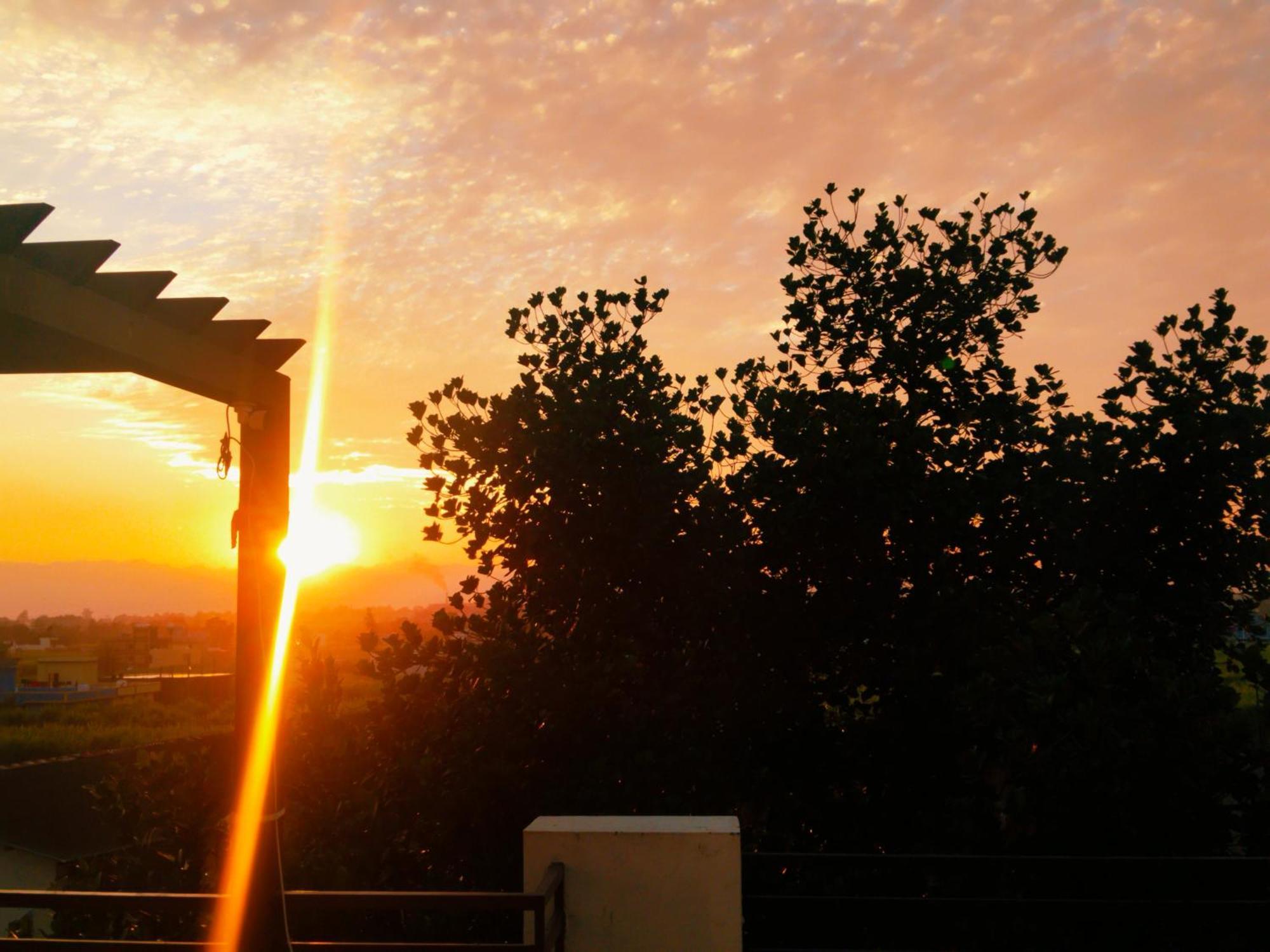Airport Luxury Nature Homestay- Near Jolly Grant Airport Dehradun Homestay *